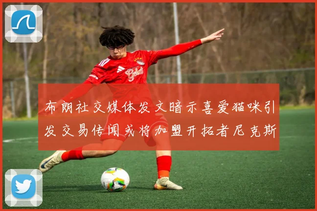 布朗社交媒体发文暗示喜爱猫咪引发交易传闻或将加盟开拓者尼克斯雷霆湖人