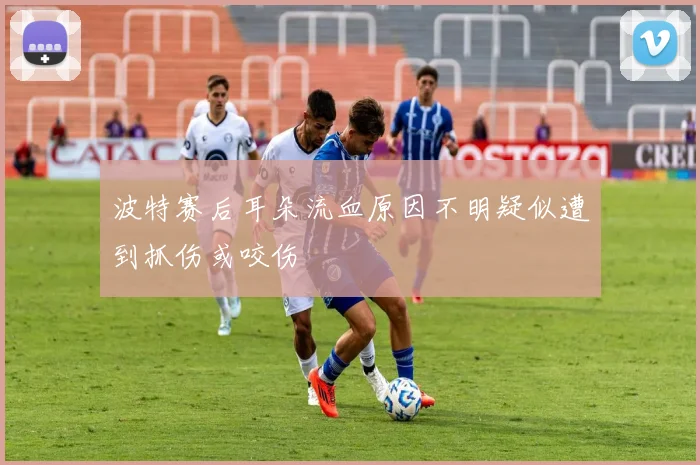波特赛后耳朵流血原因不明疑似遭到抓伤或咬伤